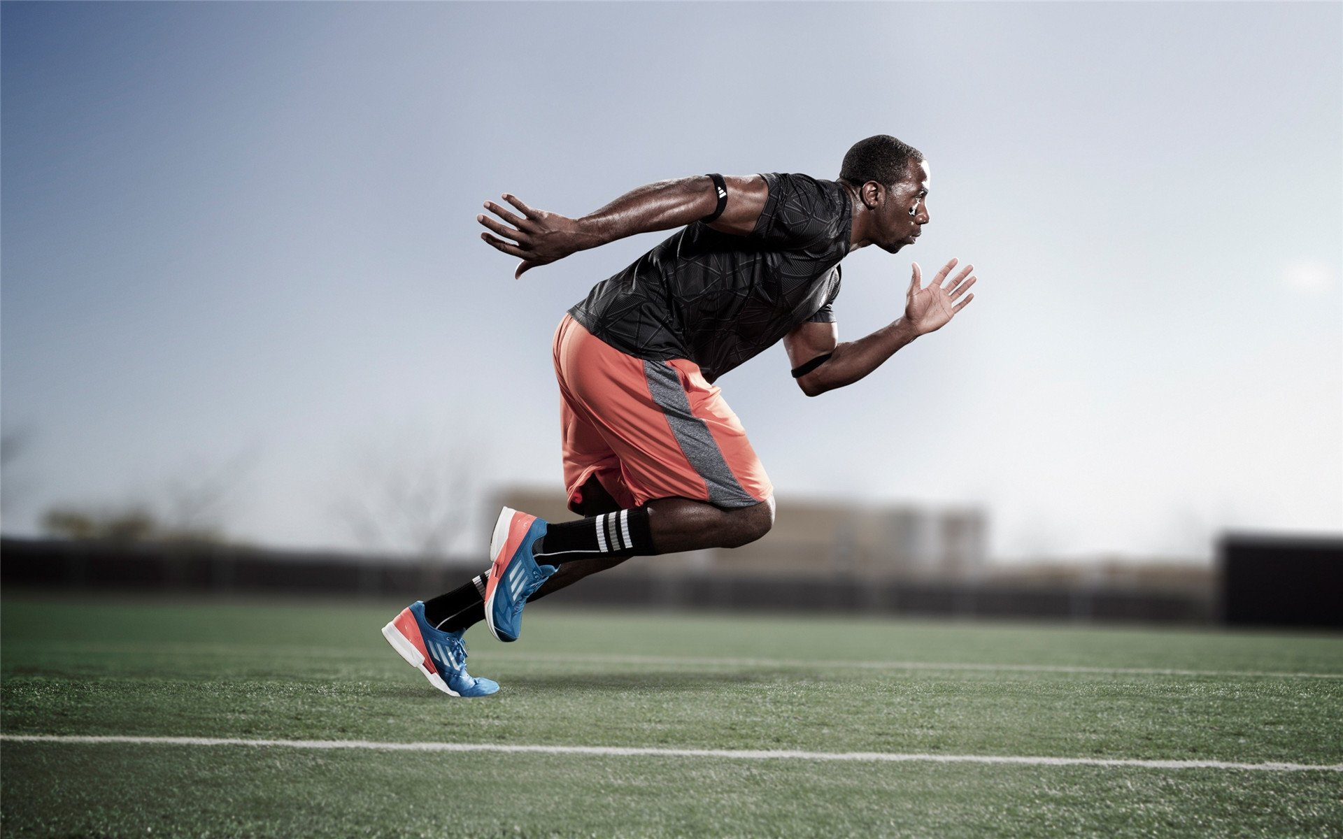 体育产业投资者峰会聚焦发展新机遇,体育产业资讯