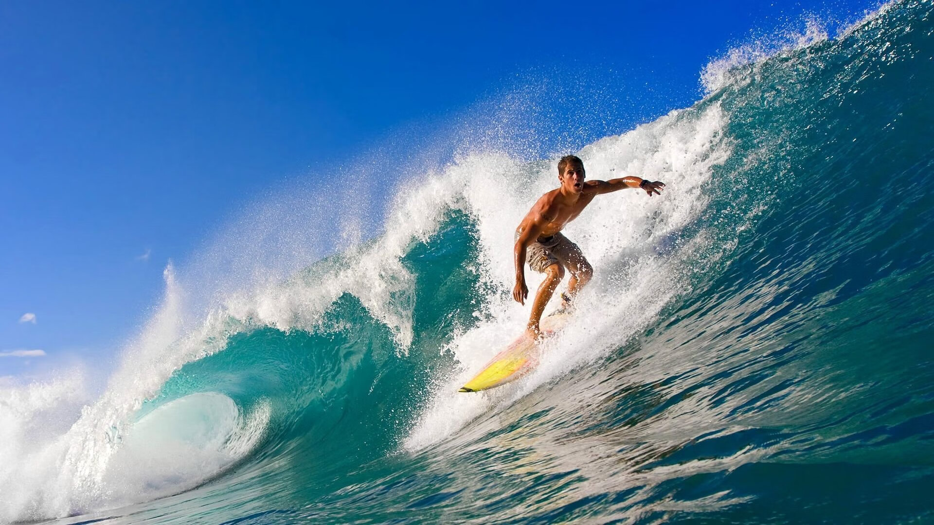 范奥特尔戴克成为比利时蝶泳焦点，范特比尔德